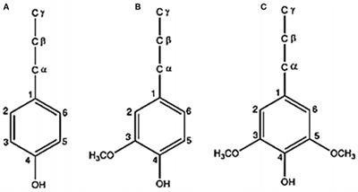 Lignin as Alternative Reinforcing Filler in the Rubber Industry: A Review